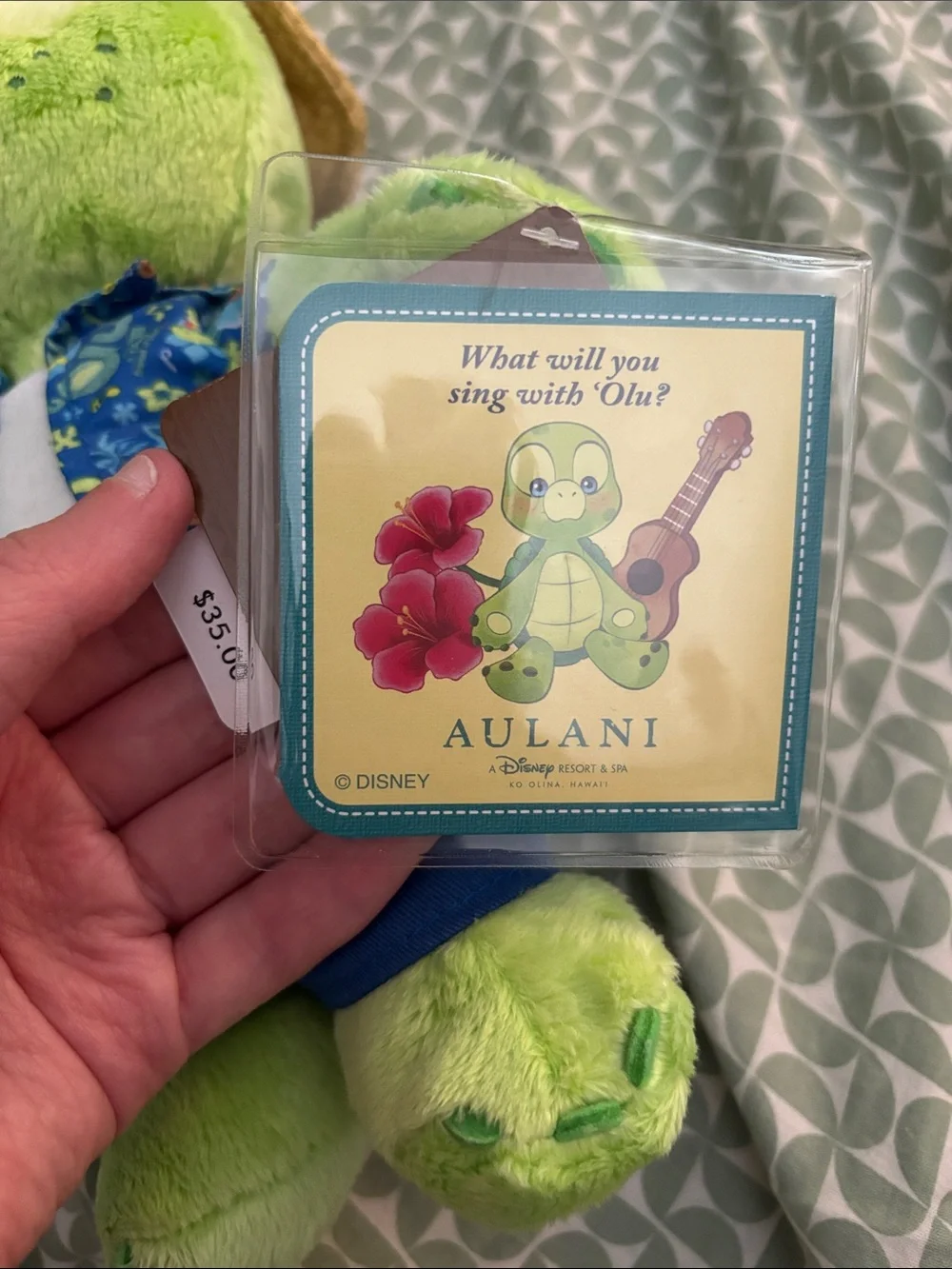 Aulani Disney “Olu” Duffy Friend Hawaii Green Plush Turtle